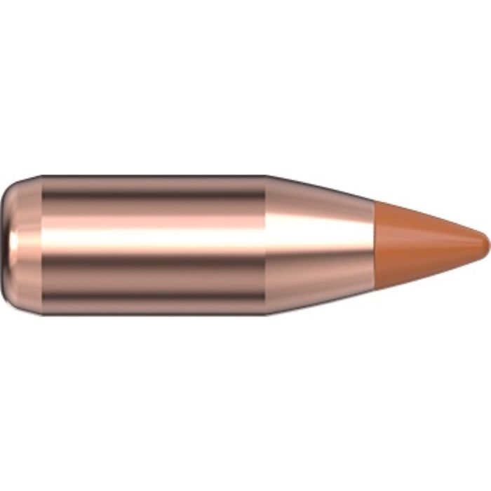 Ogives 17 Cal .172 15.5 gr NTX® x 100 Hornady - sans plombs 17016