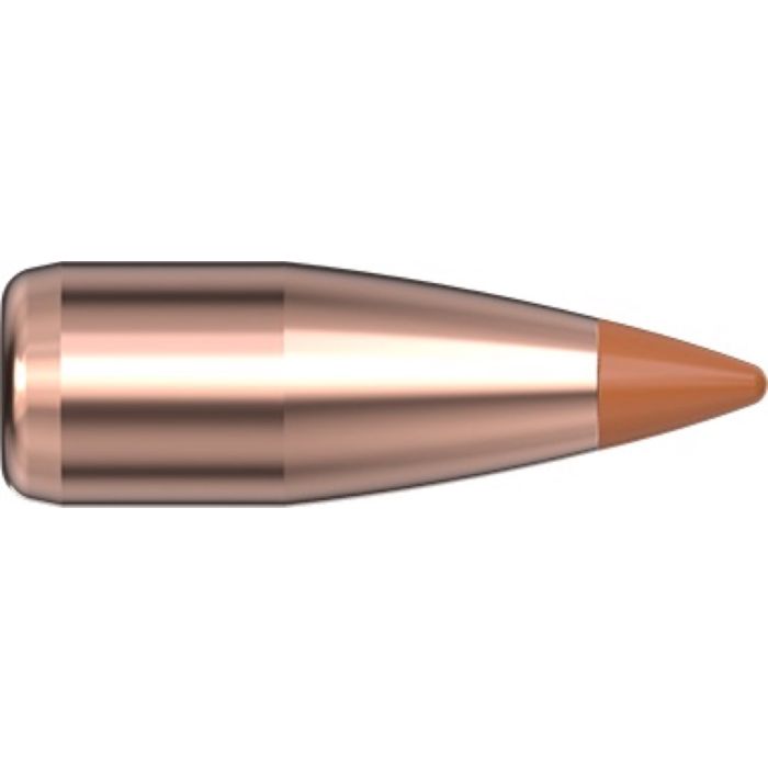 Ogives 20 CAL .204 24 gr NTX® x 100 Hornady - sans plombs 22000