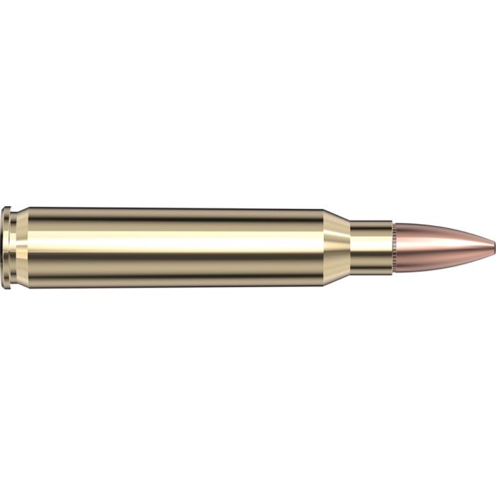 Cartouches 223 Rem 62 gr FMJ Black x 20 Hornady 80234