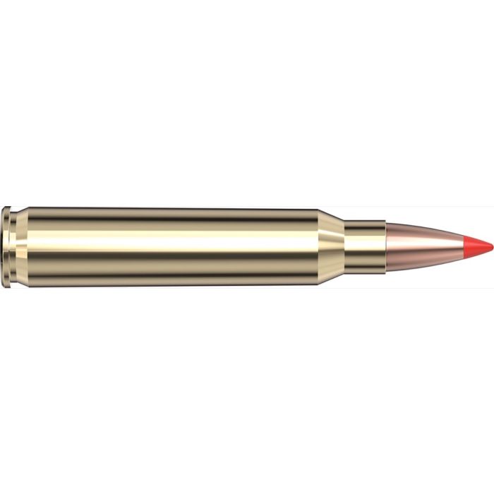 Cartouches 223 Rem 53 gr V-MAX® Superformance® x 20 Hornady 8025