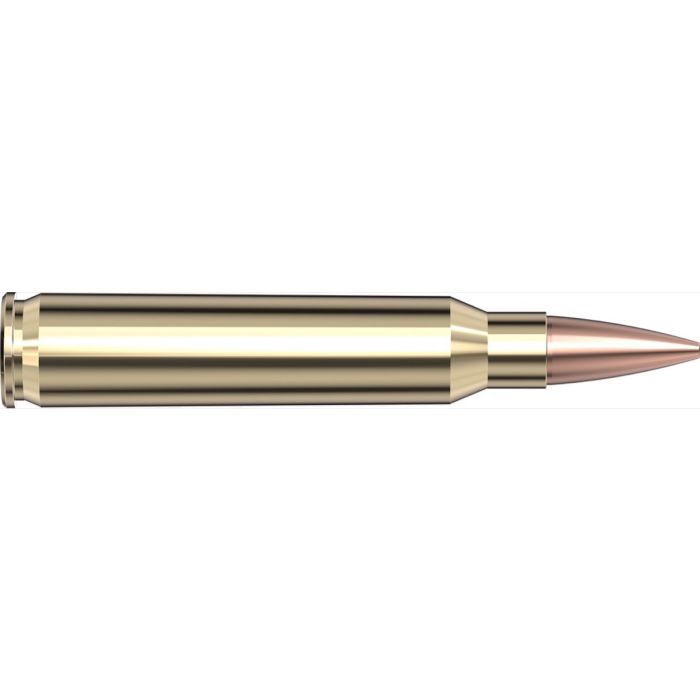 Cartouches 223 Rem 75 gr BTHP Match  x 20 Hornady 8026