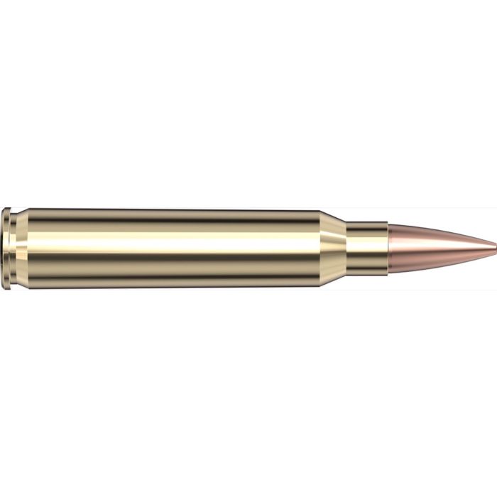 Cartouches 223 Rem 75 gr BTHP Match Black x 20 Hornady 80267