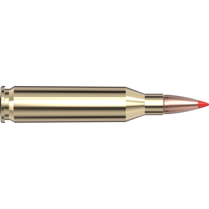 Cartouches 243 Win 95 gr SST® Superformance® x 20 Hornady 80463