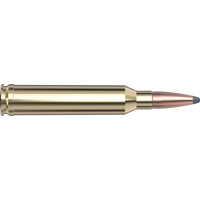 Cartouches 7mm Rem Mag 154 gr InterLock® SP American Whitetail® x 20 Hornady 80590