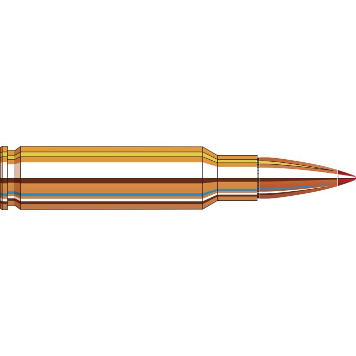 Cartouches 30 TC 165 gr SST® Superformance® x 20 Hornady - FIN DE SERIE 81014