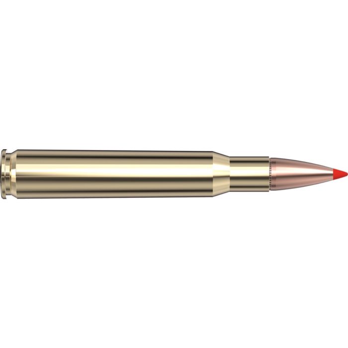Cartouches 30-06 Springfield 150 gr SST® Superformance® x 20 Hornady 81093