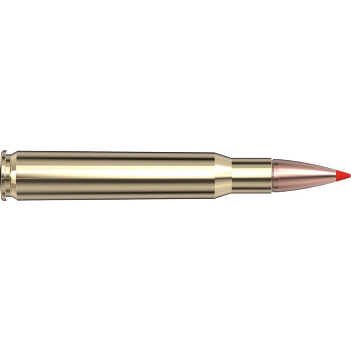 Cartouches 30-06 Springfield 165 gr SST® Superformance® x 20 Hornady 81153