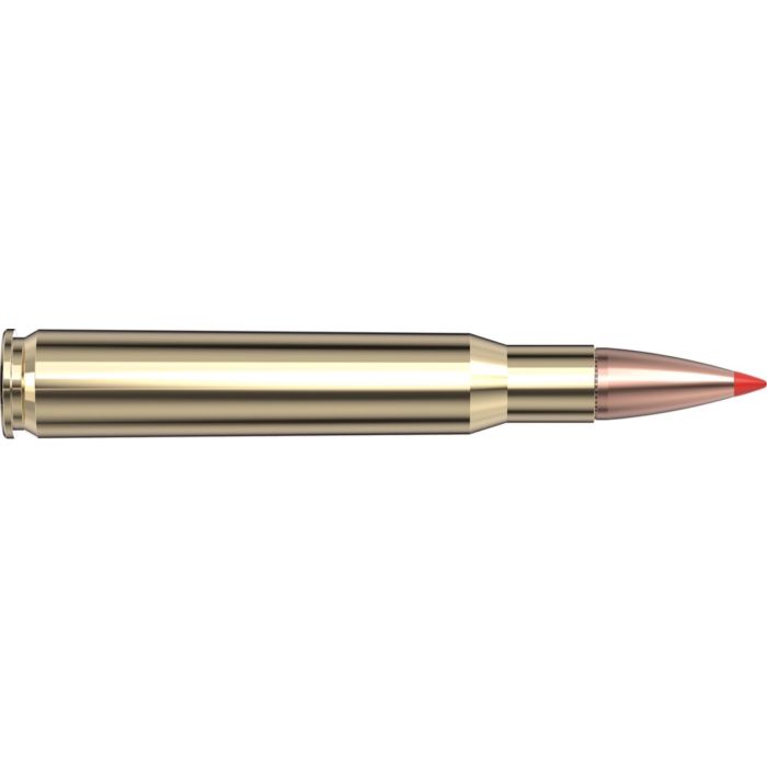 Cartouches 30-06 Springfield 180 gr SST® Superformance® x 20 Hornady 81183
