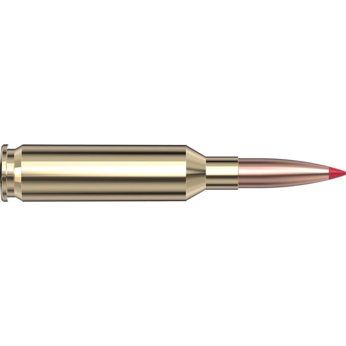 Cartouches 6mm Creedmoor 103 gr ELD-X® Precision Hunter x 20 Hornady 81392