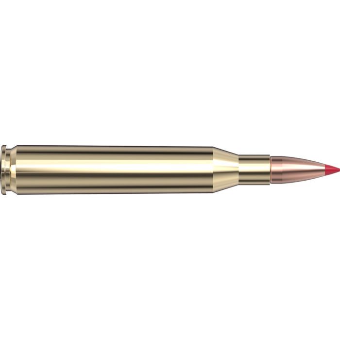 Cartouches 25-06 Rem 90 gr. CX™ Superformance® x 20 Hornady - sans plombs 814464