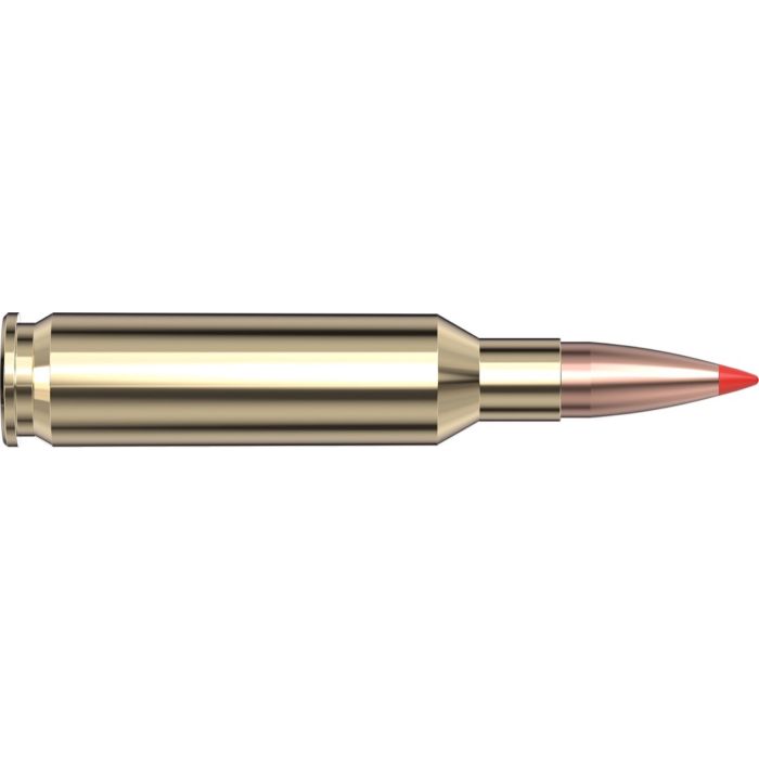 Cartouches 6.5 Creedmoor 95 gr V-MAX® Varmint Express® x 20 Hornady 81481