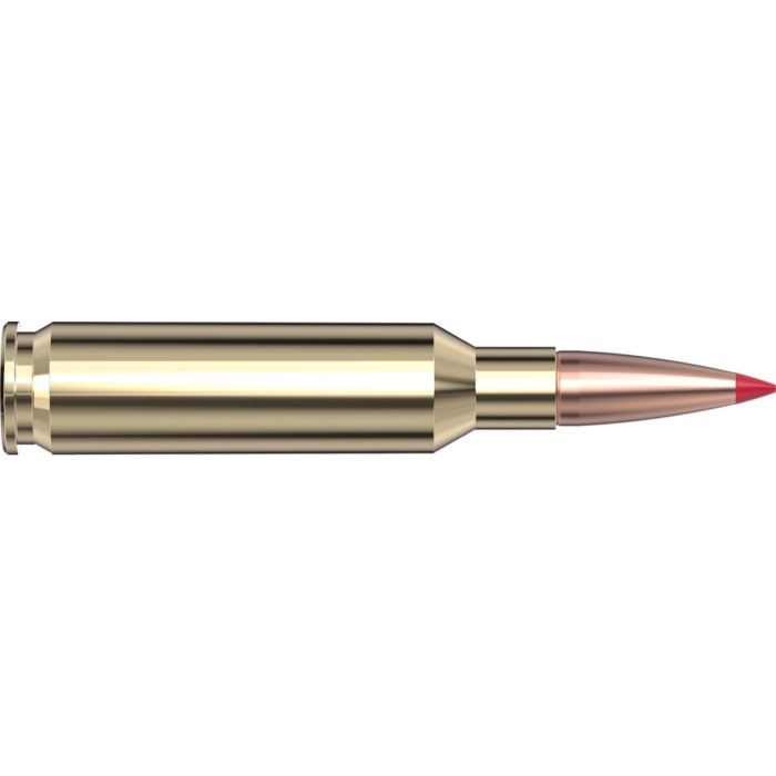 Cartouches 6.5 Creedmoor 120 gr. CX™ Superformance® x 20 Hornady - sans plombs 814904