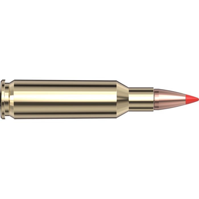 Cartouches 224 Valkyrie 60 gr V-MAX® Varmint Express® x 20 Hornady 81531
