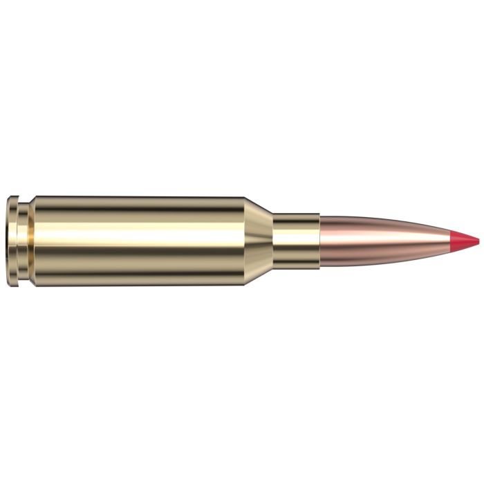 Cartouches 6mm ARC 90 gr CX® Custom™  x 20 Hornady 81612