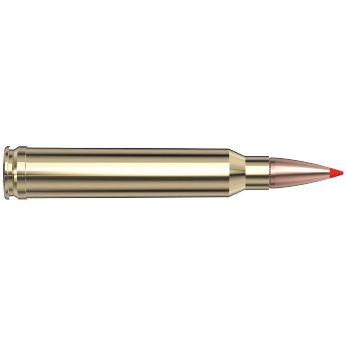 Cartouches 300 Win Mag 165 gr SST® American Whitetail® TIPPED x 20 Hornady 82024