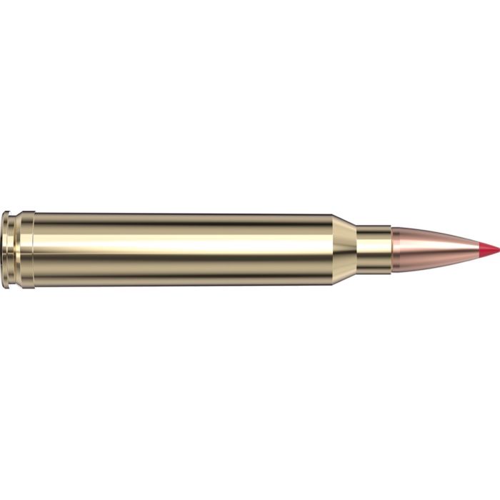 Cartouches 300 Win Mag 165 gr. CX™ Superformance® x 20 Hornady - sans plombs 820264