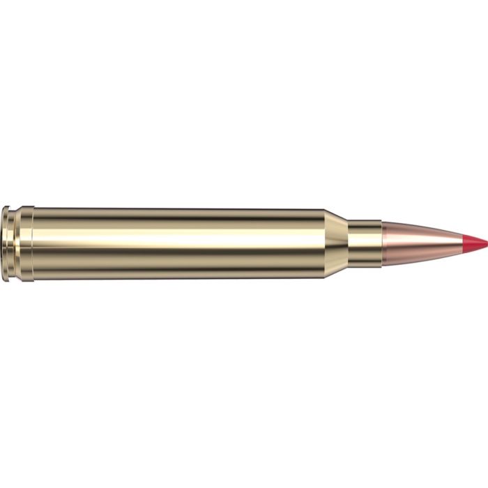 Cartouches 300 Win Mag 178 gr ELD-X® Precision Hunter x 20 Hornady 82041
