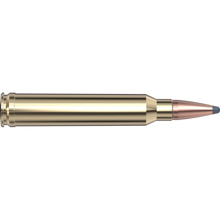 Cartouches 300 Win Mag 180 gr InterLock® SP American Whitetail® x 20 Hornady 82044