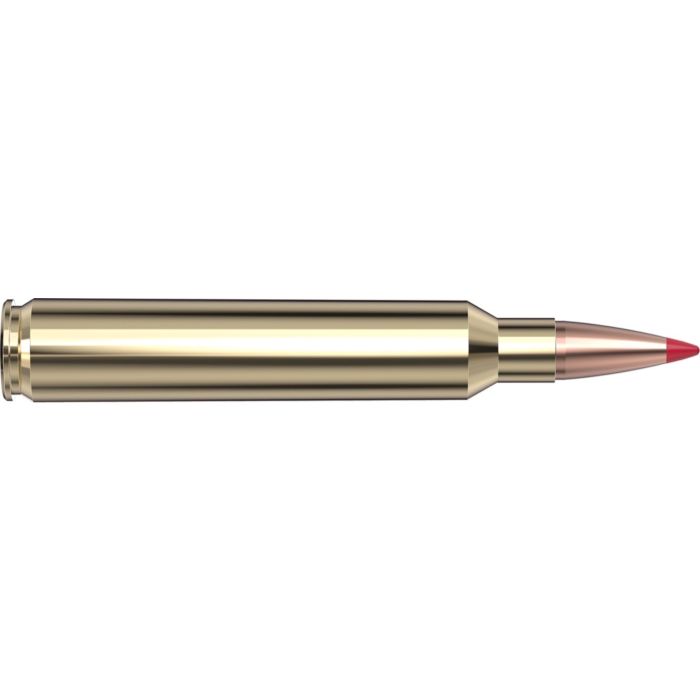 Cartouches 300 Rem Ultra Mag 220 gr ELD-X® Precision Hunter x 20 Hornady 8209