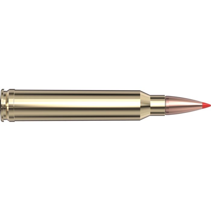 Cartouches 300 Win Mag 180 gr SST® Superformance® x 20 Hornady 82193