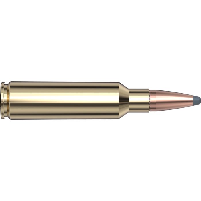 Cartouches 300 WSM 165 gr InterLock® SP American Whitetail® x 20 Hornady 82204