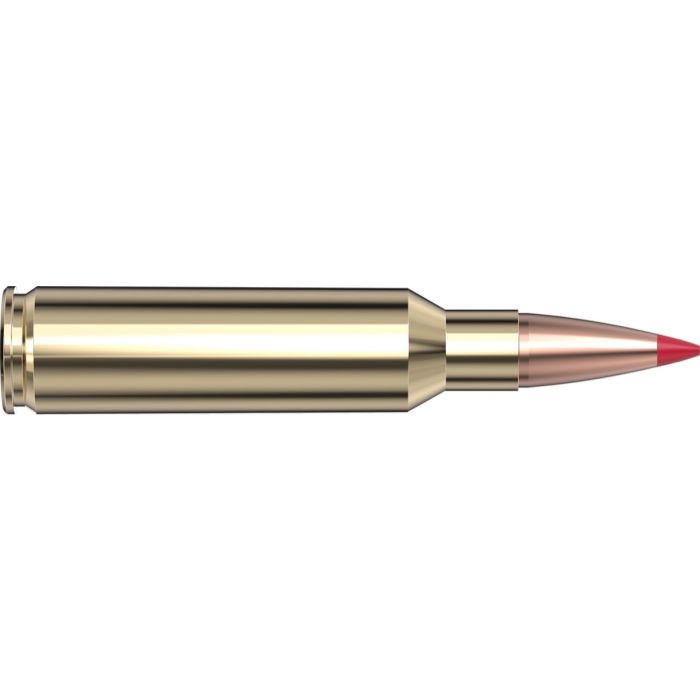 Cartouches 300 RCM 178 gr ELD-X® Precision Hunter x 20 Hornady 82224