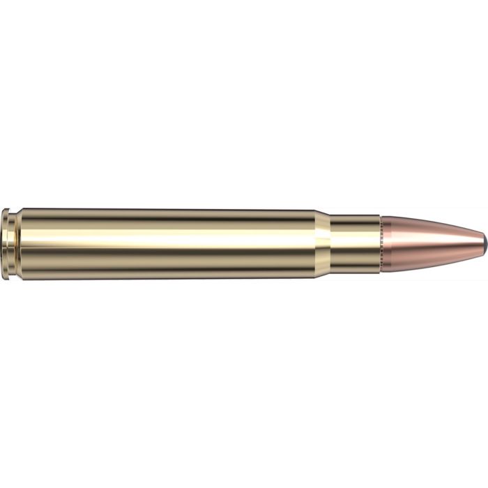 Cartouches 9.3X62 286 gr InterLock® SP-RP x 20 Hornady 82303