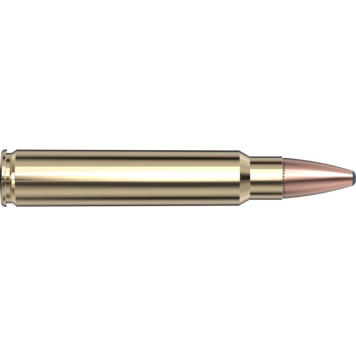 Cartouches 375 Ruger 270 gr SP-RP Superformance® x 20 Hornady 8231