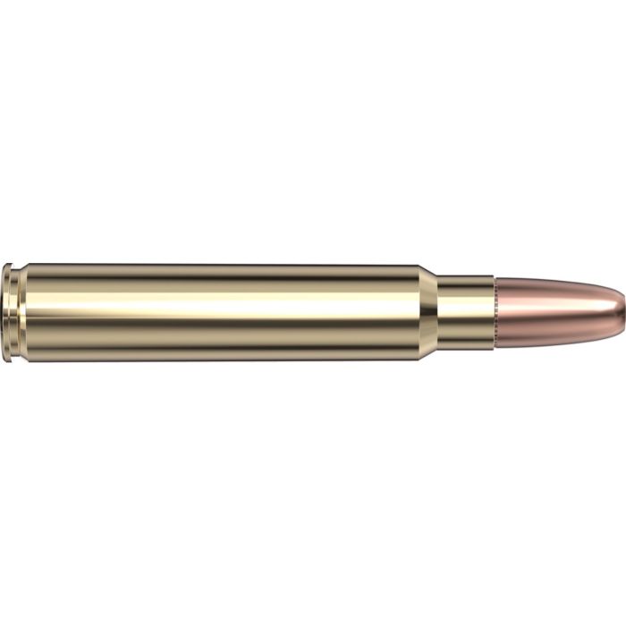 Cartouches 375 Ruger 300 gr DGS® Superformance® SP-RP x 20 Hornady 8232