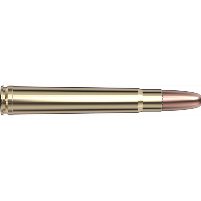 Cartouches 375 H&H 300 gr DGS® x 20 Hornady 82322