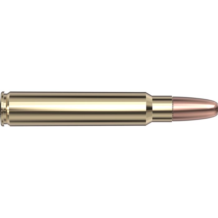 Cartouches 375 Ruger 300 gr DGX® Bonded x 20 Hornady 82336
