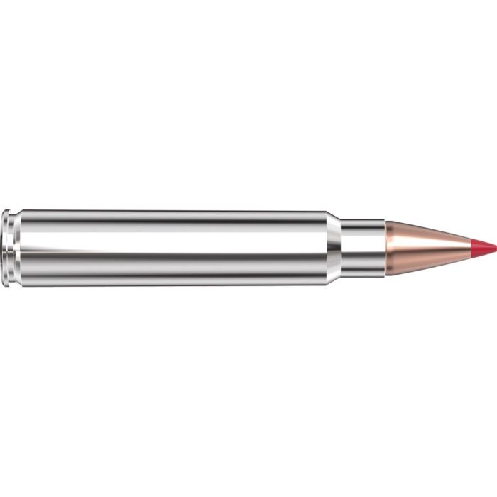 Cartouches 375 Ruger 250 gr CX™ Outfitter x 20 Hornady - sans plombs 823374
