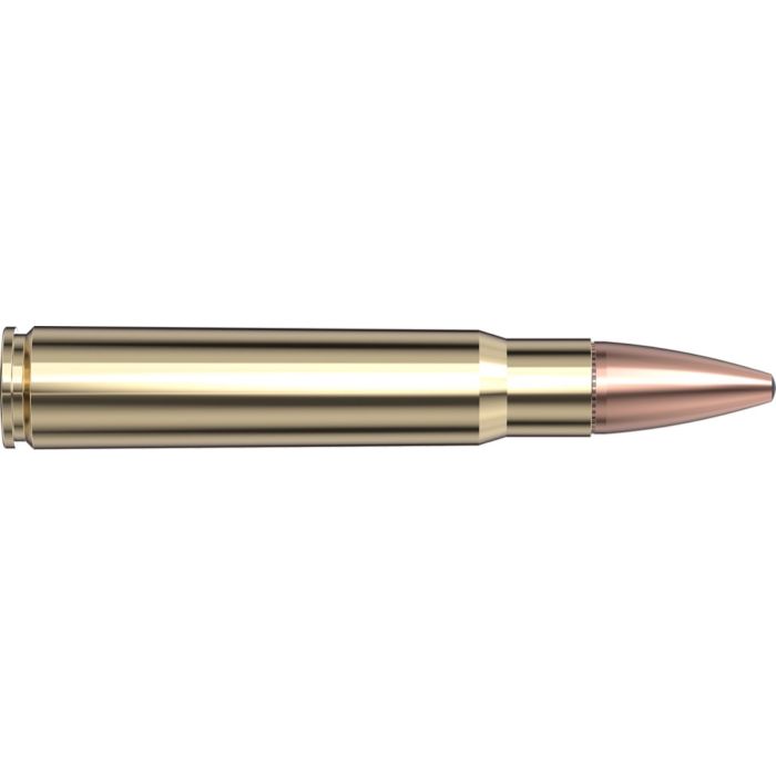 Cartouches 376 Steyr 225 gr InterLock® SP-RP x 20 Hornady 8234
