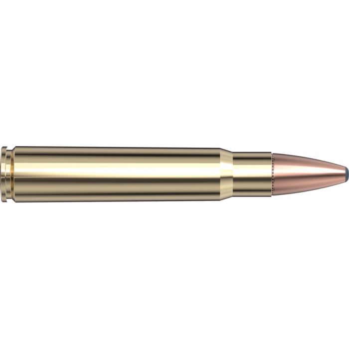 Cartouches 376 Steyr 270 gr InterLock® SP-RP  x 20 Hornady 8237