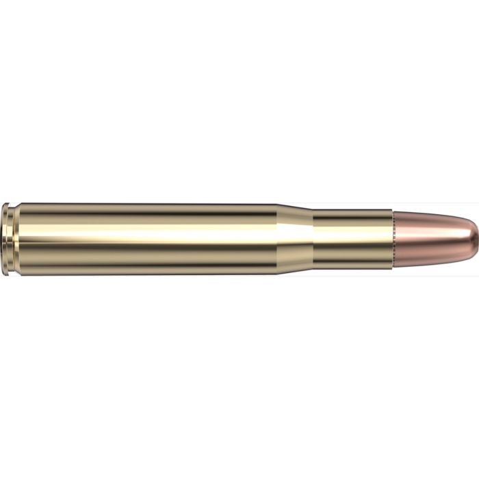 Cartouches 404 Jeffery 400 gr DGS®  x 20 Hornady 8239