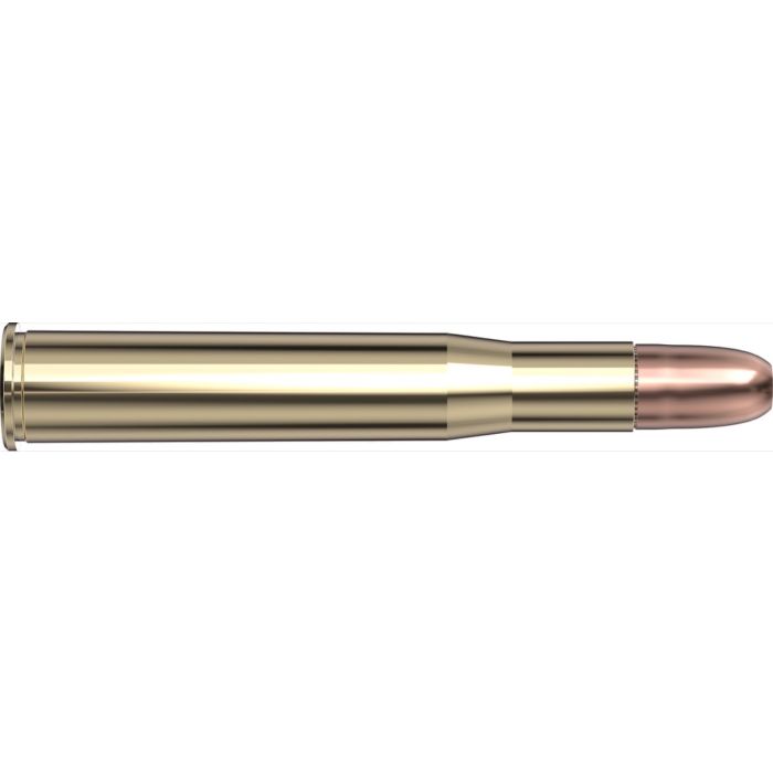 Cartouches 450-400 Nitro Express 3" 400 gr DGS® x 20 Hornady 8242