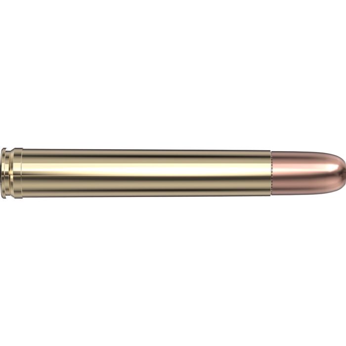 Cartouches 458 Lott 500 gr DGS® x 20 Hornady 8262