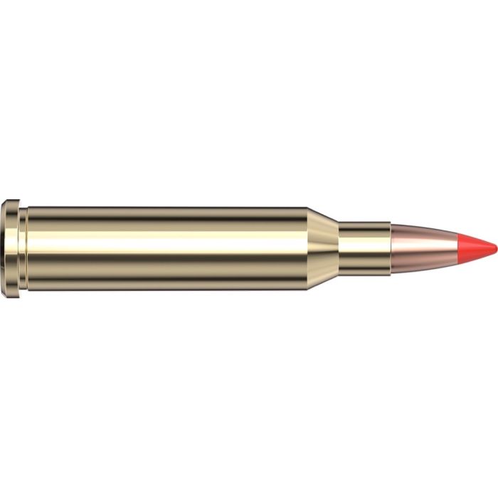 Cartouches 17 Hornet 20 gr V-MAX® Superformance® Varmint x 25 Hornady 83005