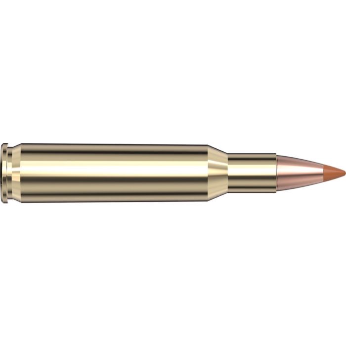 Cartouches 222 Rem 35 gr NTX Superformance® x 20 Hornady - sans plombs 8309