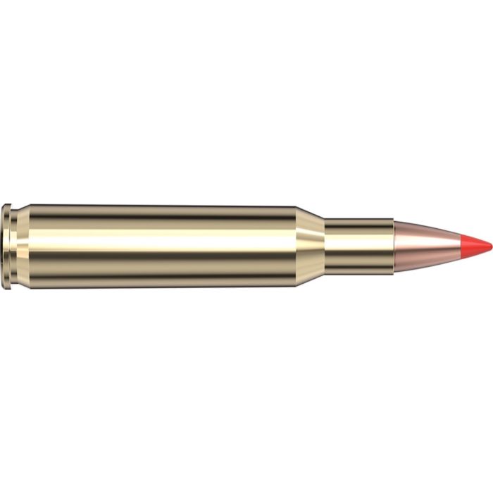 Cartouches 222 Rem 50 gr V-MAX® Superformance® x 20 Hornady 8316
