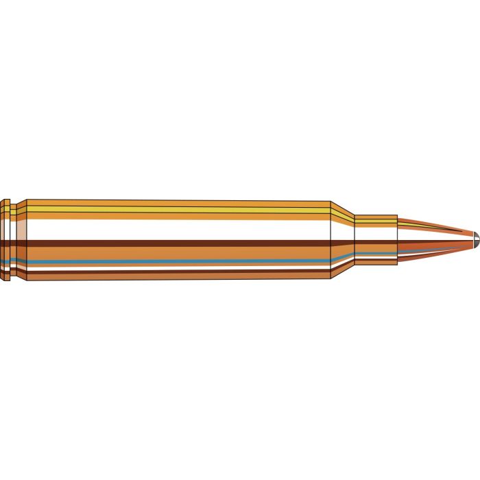 Cartouches 204 Ruger 45 gr SP x 20 Hornady