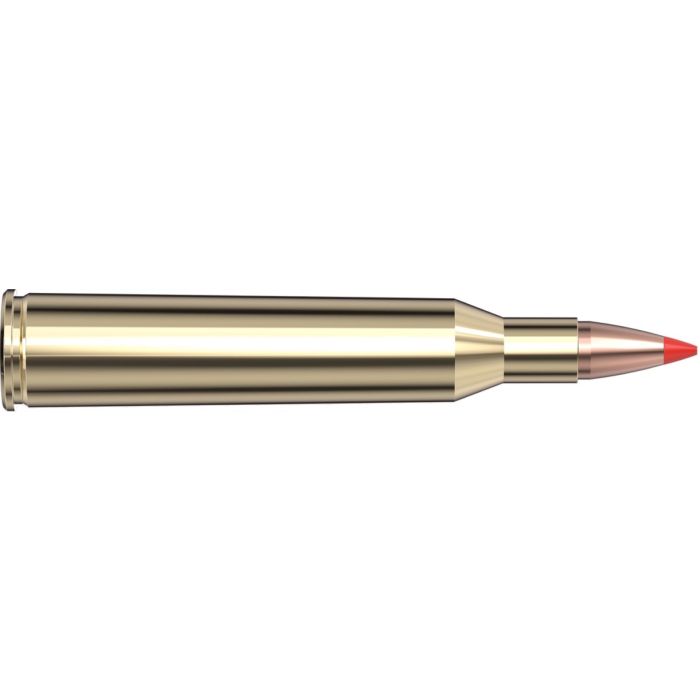 Cartouches 220 Swift 55 gr V-MAX® x 20 Hornady 8324
