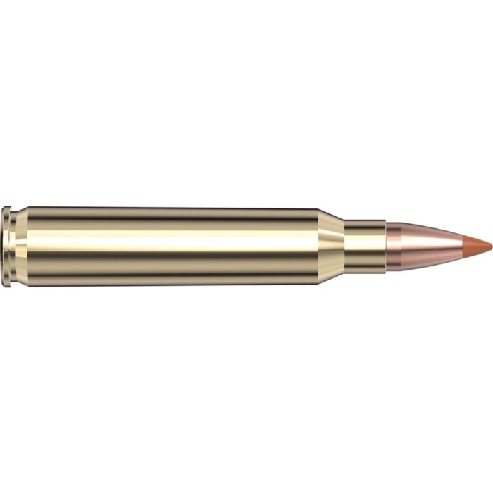 Cartouches 223 Rem 35 gr NTX® Superformance® x 20 Hornady - sans plombs 83266