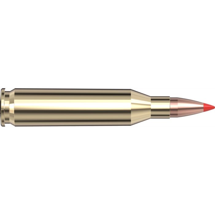 Cartouches 243 Win 75 gr V-MAX® Superformance® Varmint  x 20 Hornady 83433