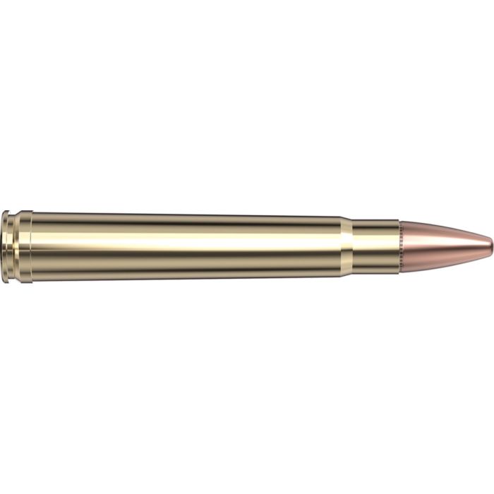 Cartouches 375 H&H 270 gr SP-RP Dangerous Game x 20 Hornady 8508