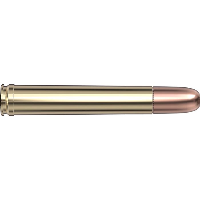 Cartouches 458 Win 500 gr DGS® Superformance® x 20 Hornady 8585