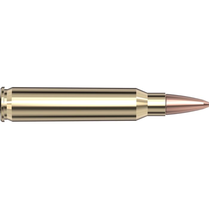 Cartouches 223 Rem 68 gr BTHP Match Frontier® x 20 Hornady FR160