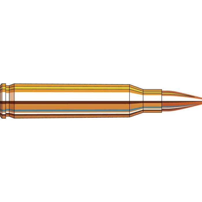 Cartouches 5.56 NATO 55 gr HP Match Frontier® x 20 Hornady