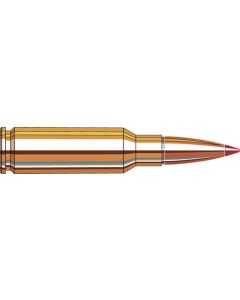 Cartouches 6.5 Grendel 123 gr SST®  x 20 Hornady