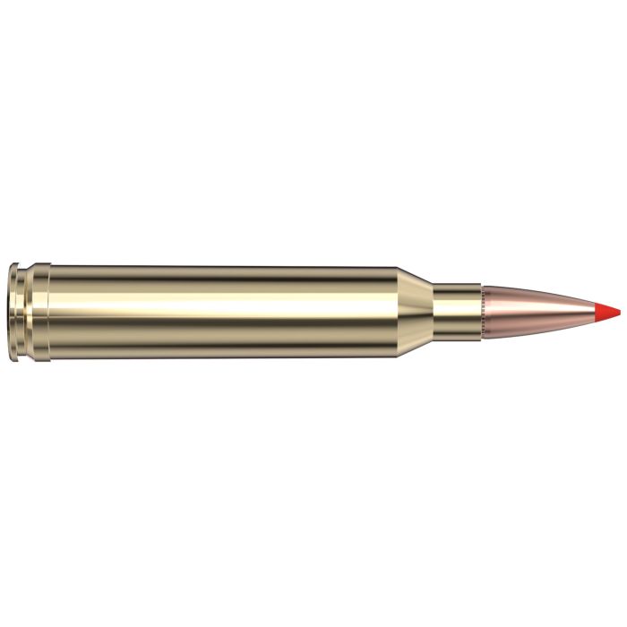 Cartouches 7mm Rem Mag 154 gr SST® American Whitetail® TIPPED x 20 Hornady 80601